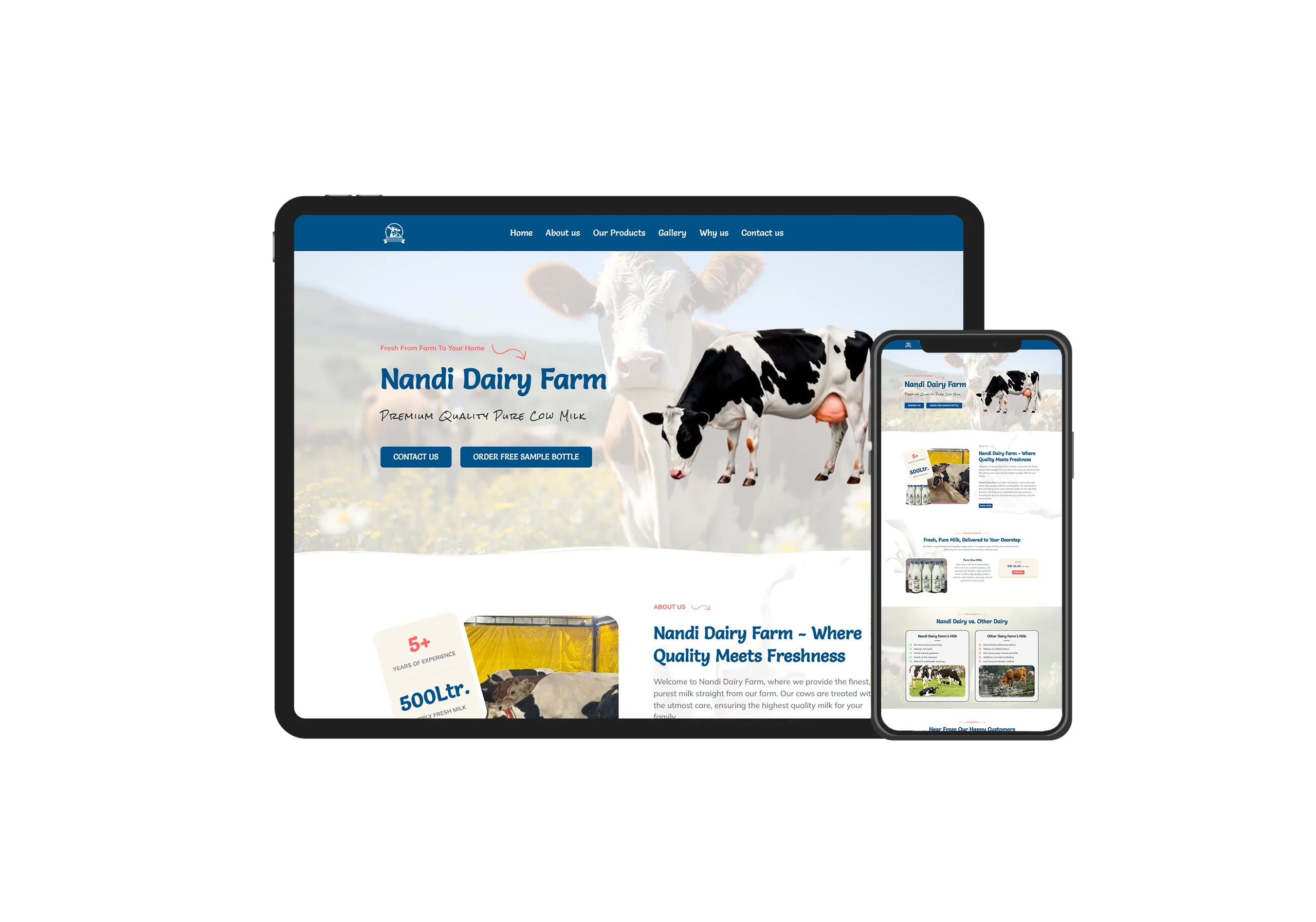 Nandi Dairy
